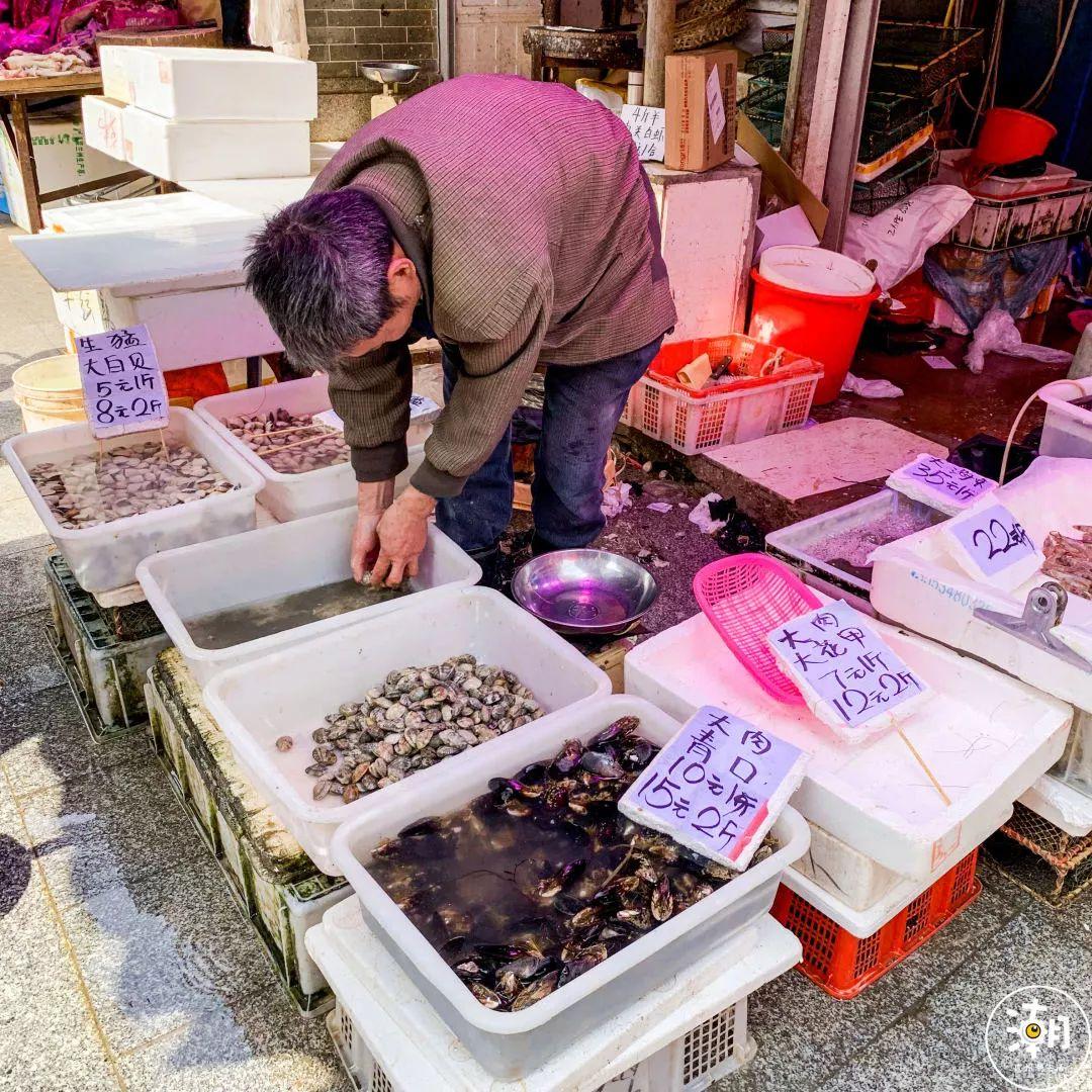 广东省甲鱼养殖基地，探索与启示