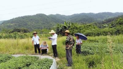 广东省土地用途管制，现状、挑战与未来展望