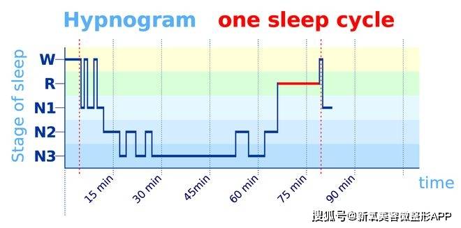 婴儿浅睡眠的演变与消失，几个月内逐渐适应的深度睡眠之旅