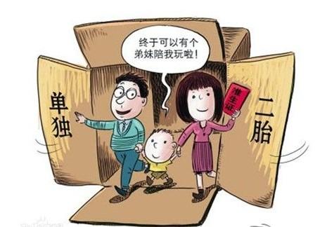 广东省单独二孩政策的实施与影响