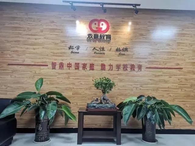 广东省桃城中学，历史底蕴与现代风采的交融