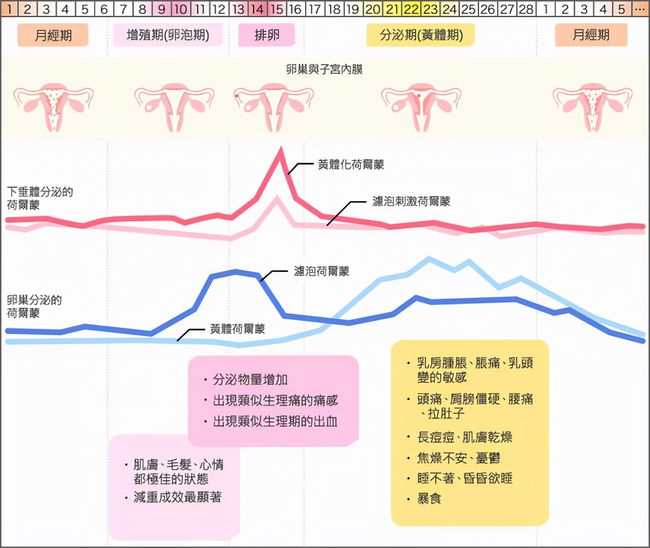 避孕药影响经期几个月，深度解析与应对建议