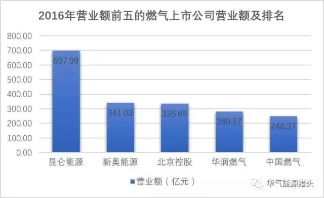 广东省燃料有限公司性质深度解析