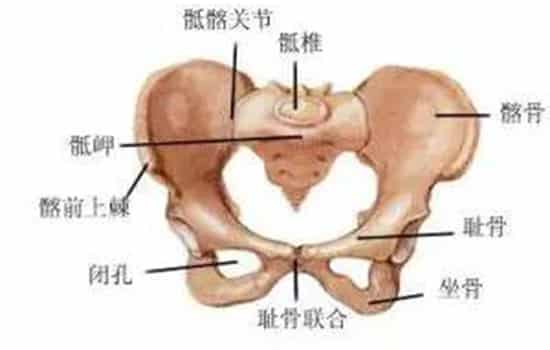 孕6个月耻骨疼，是男孩的标志吗？