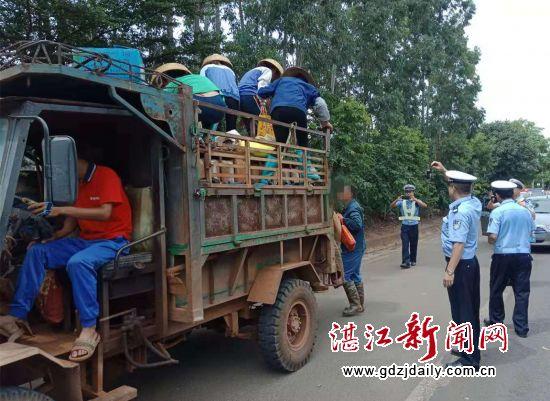 广东省雷州市新闻动态及地方发展概述