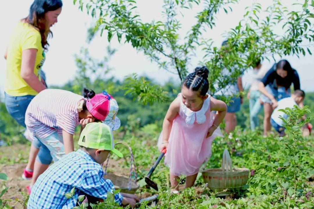 广东快乐农场有限公司，绿色生态的先行者